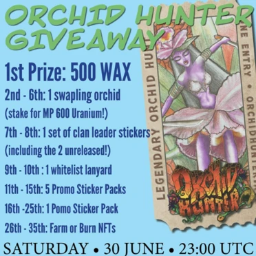 Orchid Hunter: Sorteo