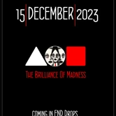 The Brilliance Of Madness: Mint Halka Arz