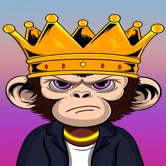 APE PARADIGM
