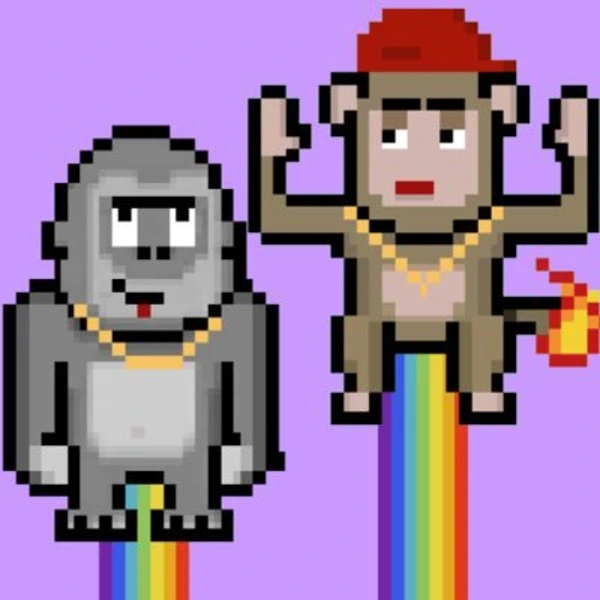 Apes vs Monkeys
