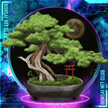 BONSAI NFT FARM: Gelişme