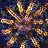 Cosmic Reef by Leo Villareal