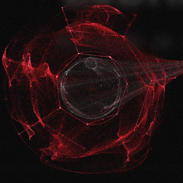 Entangled by Bjorn Staal