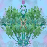 Four Seasons in Space by Kyujin Cho