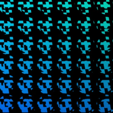 Fragmented Perception: Mint Public Sale