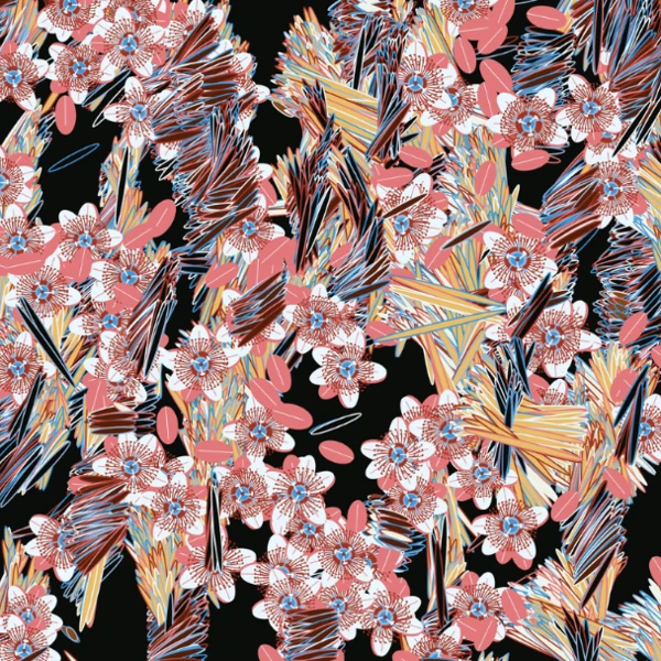 Fragments of an Infinite Field by Monica Rizzolli