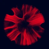 Gravity 12 by Jimmy Herdberg