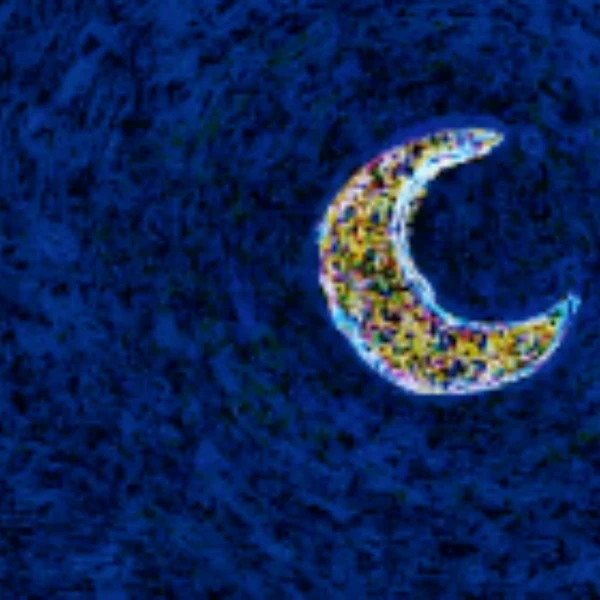 La Nuit Étoilée by Alpha Centauri Kid