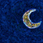 La Nuit Étoilée by Alpha Centauri Kid