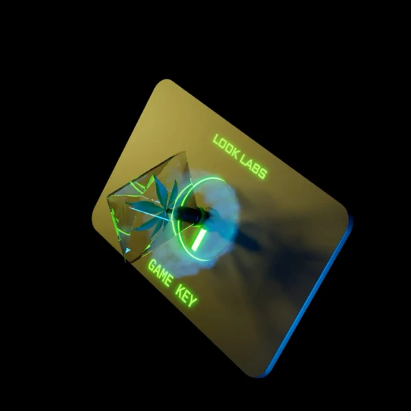 Look Labs - Game Key