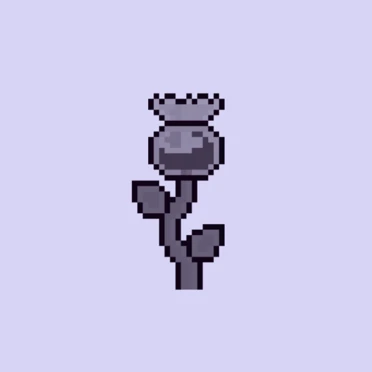 rawiz: Mint Public Sale