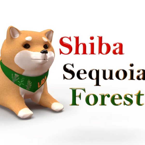 Shiba Sequoia Forest Lads