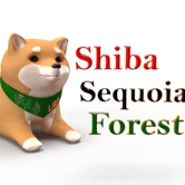 Shiba Sequoia Forest Lads