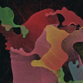 Spotlight by Joshua Bagley