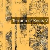 Terraria of Knots V