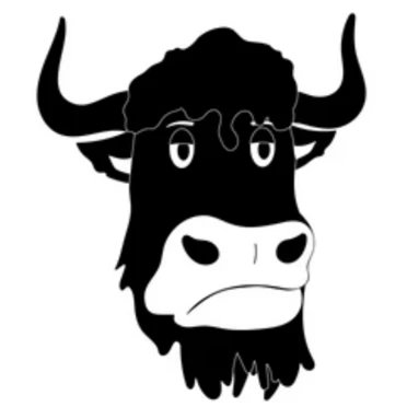 The Yawks: Mint Public Sale