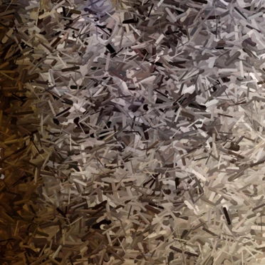 Ursavus elmensis: Vente Publique